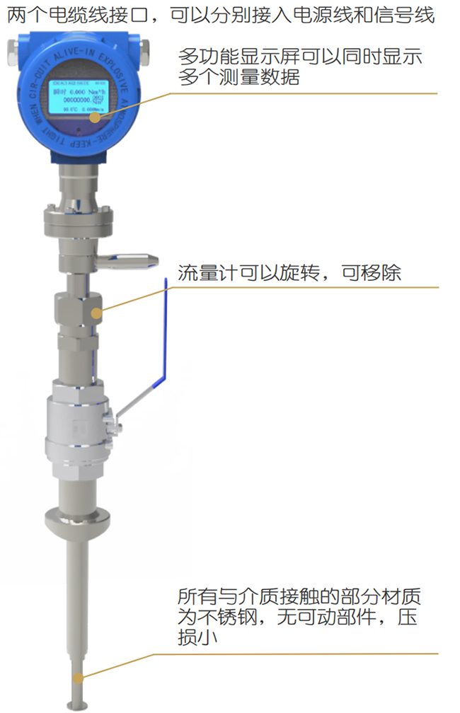 DN300熱式氣體質(zhì)量流量計結(jié)構(gòu)圖
