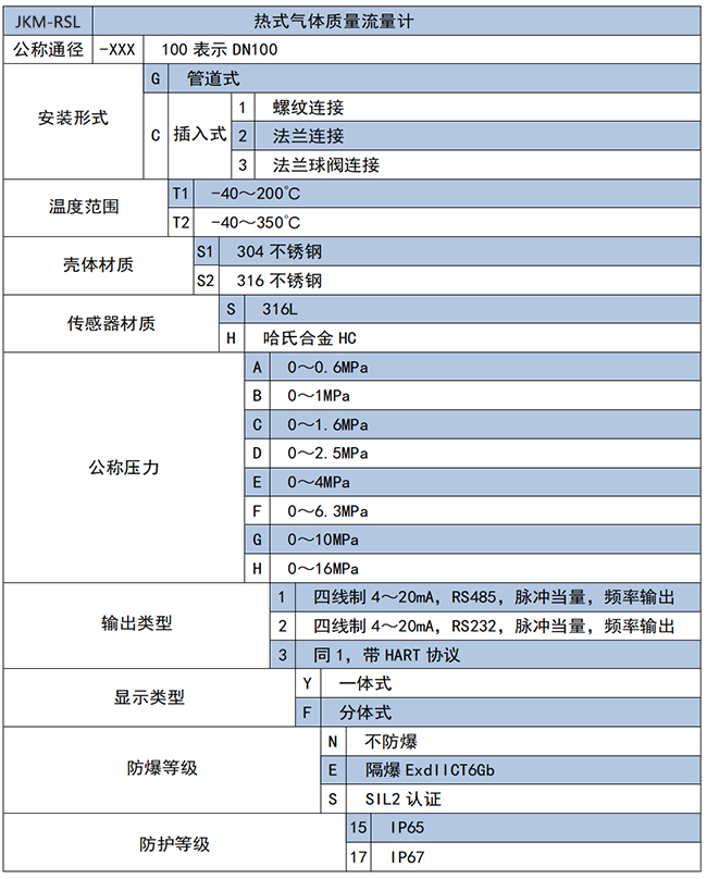 DN300熱式氣體質(zhì)量流量計選項表